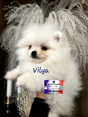 Vilya